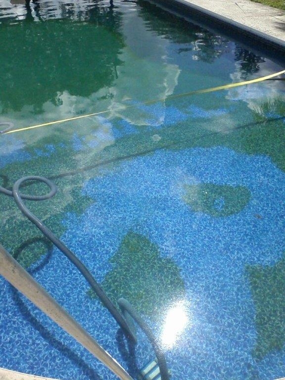 Green to Blue Vacuuming Evolution Pool Service