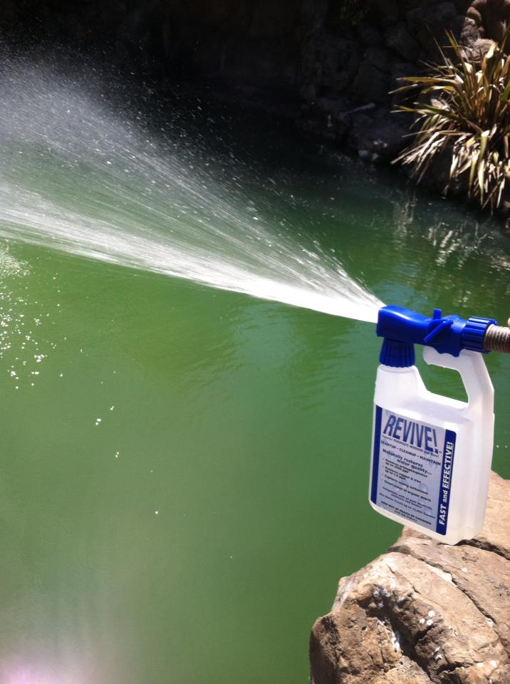 Spraying REVIVE on green pool