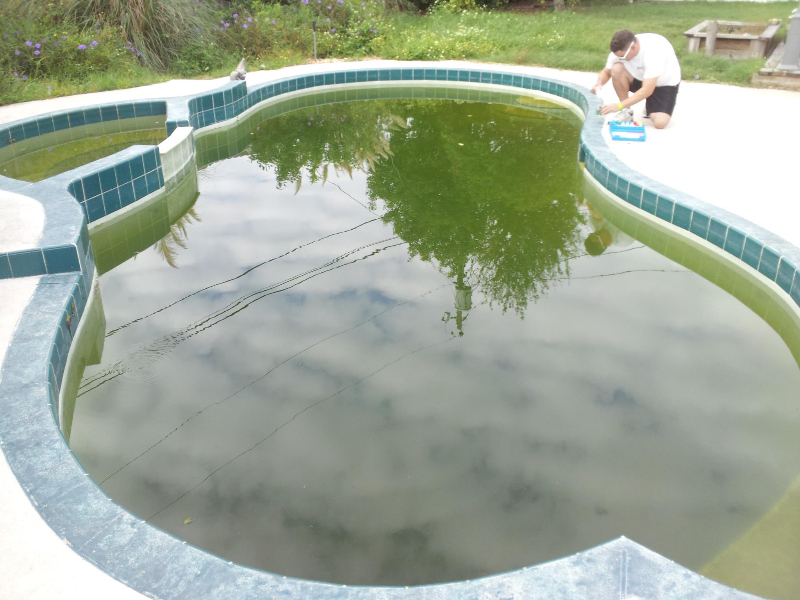 Before Revive Priceless Pools