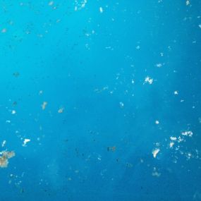 Example of White Deposits in Pool